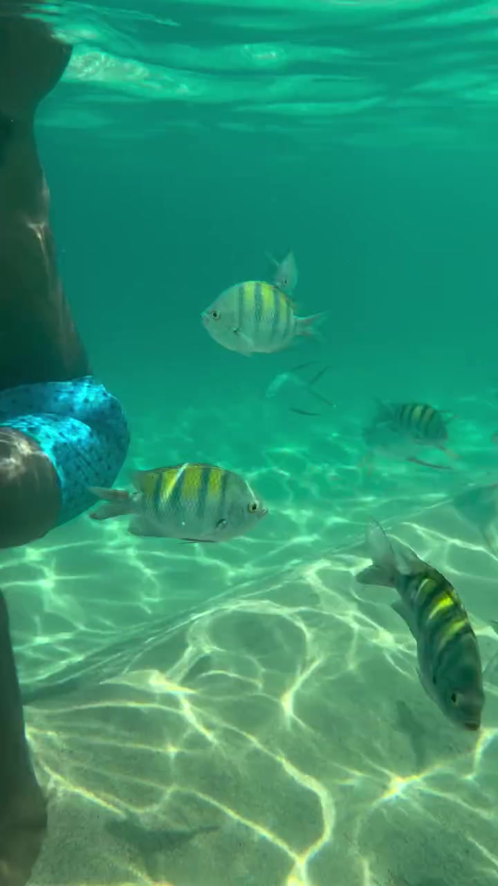 休賽期不釣魚(yú)了喬治曬自己浮潛視頻與魚(yú)共舞