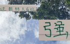 強觀大局！國安主帥輪換險致敗，多樣陣容更勝一籌。
