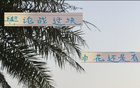 事出反常，申花老謀深算，勝后申訴，輿論戰(zhàn)不簡(jiǎn)單。