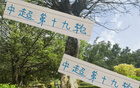 周末申花云南高原賽，阿蘇埃赤道南能否進第四球？