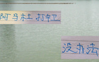 申花前帥改用阿馬杜中衛(wèi)，原想666，卻成404。
