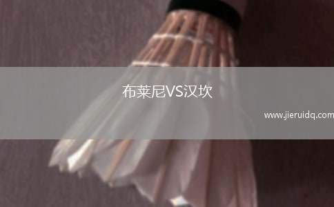 布萊尼VS漢坎