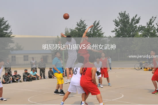 明尼蘇達(dá)山貓VS金州女武神