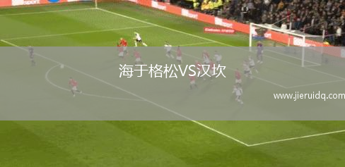 海于格松VS漢坎