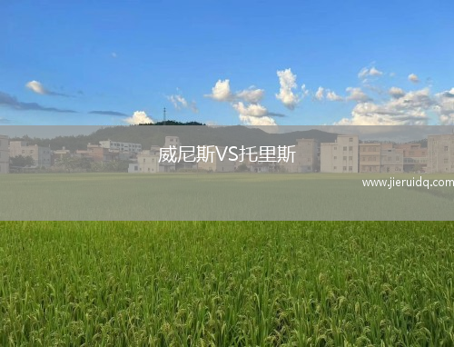 威尼斯VS托里斯